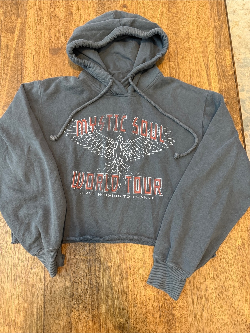Hollister Charcoal Gray Mystic Soul World Tour Cropped Hoodie